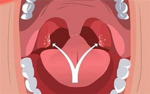 �����廯ŧ��ô�� ��ŧ�Ա�����������